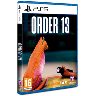 Order 13 (PS5)